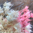 Load image into Gallery viewer, About 35 Flower Heads,Dried Natural Flowers Branch,DIY Dry Eternelle Star Anise Flower Bouquet For Home Decor,Floral Arrangement