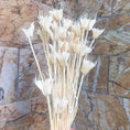 Load image into Gallery viewer, About 35 Flower Heads,Dried Natural Flowers Branch,DIY Dry Eternelle Star Anise Flower Bouquet For Home Decor,Floral Arrangement