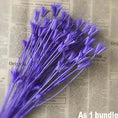 Load image into Gallery viewer, About 35 Flower Heads,Dried Natural Flowers Branch,DIY Dry Eternelle Star Anise Flower Bouquet For Home Decor,Floral Arrangement