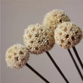 Load image into Gallery viewer, Enhance Your Decor with Multicolor Decorative Flower Balls