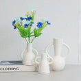 Load image into Gallery viewer, Double Ear Hydroponic Flower Vase, Nordic Ins, Desktop, Hotel, Home Decoration, Flower Pot Vase Decoration Home