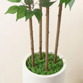 Load image into Gallery viewer, 6ft Ficus Artificial Tree β Faux Silk Plant in White Planter