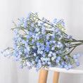 Load image into Gallery viewer, 45716468039924