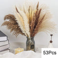 Load image into Gallery viewer, 45733595644148
