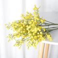 Load image into Gallery viewer, 45716467908852