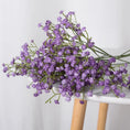 Load image into Gallery viewer, 45716467843316