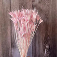 Load image into Gallery viewer, 45716448444660