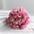 Load image into Gallery viewer, 45661038444788
