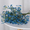 Load image into Gallery viewer, 45716467876084