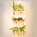 Load image into Gallery viewer, Elevate Your Decor with Ins Wall Hanging Glass Planter
