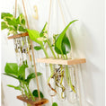 Load image into Gallery viewer, Elevate Your Decor with Ins Wall Hanging Glass Planter
