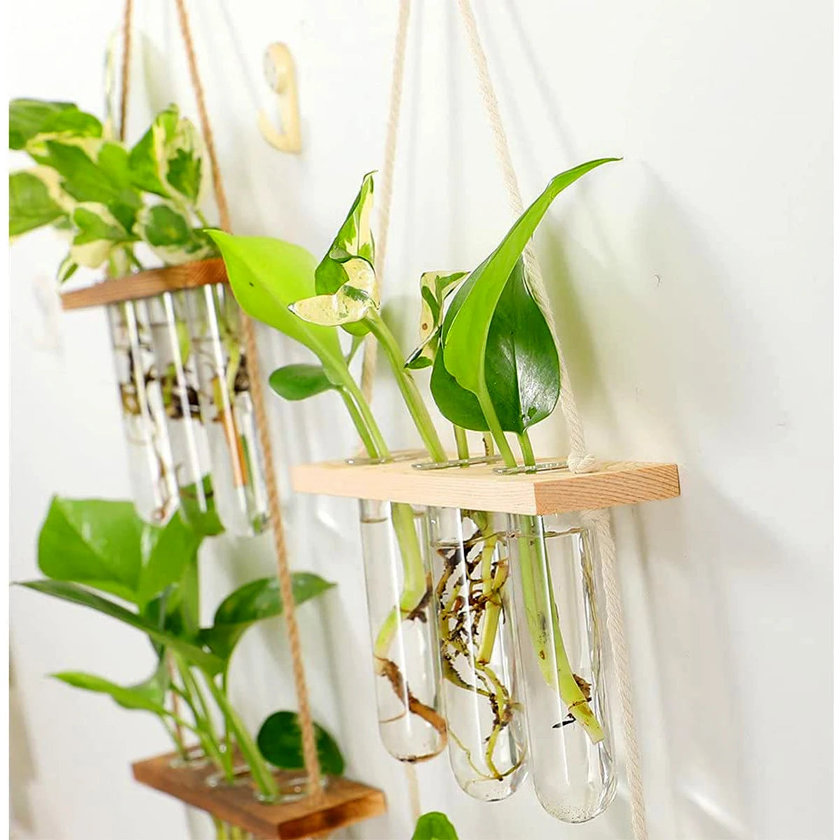 Elevate Your Decor with Ins Wall Hanging Glass Planter