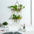 Load image into Gallery viewer, Elevate Your Decor with Ins Wall Hanging Glass Planter
